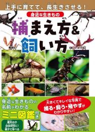 身近な生きもの 捕まえ方&飼い方